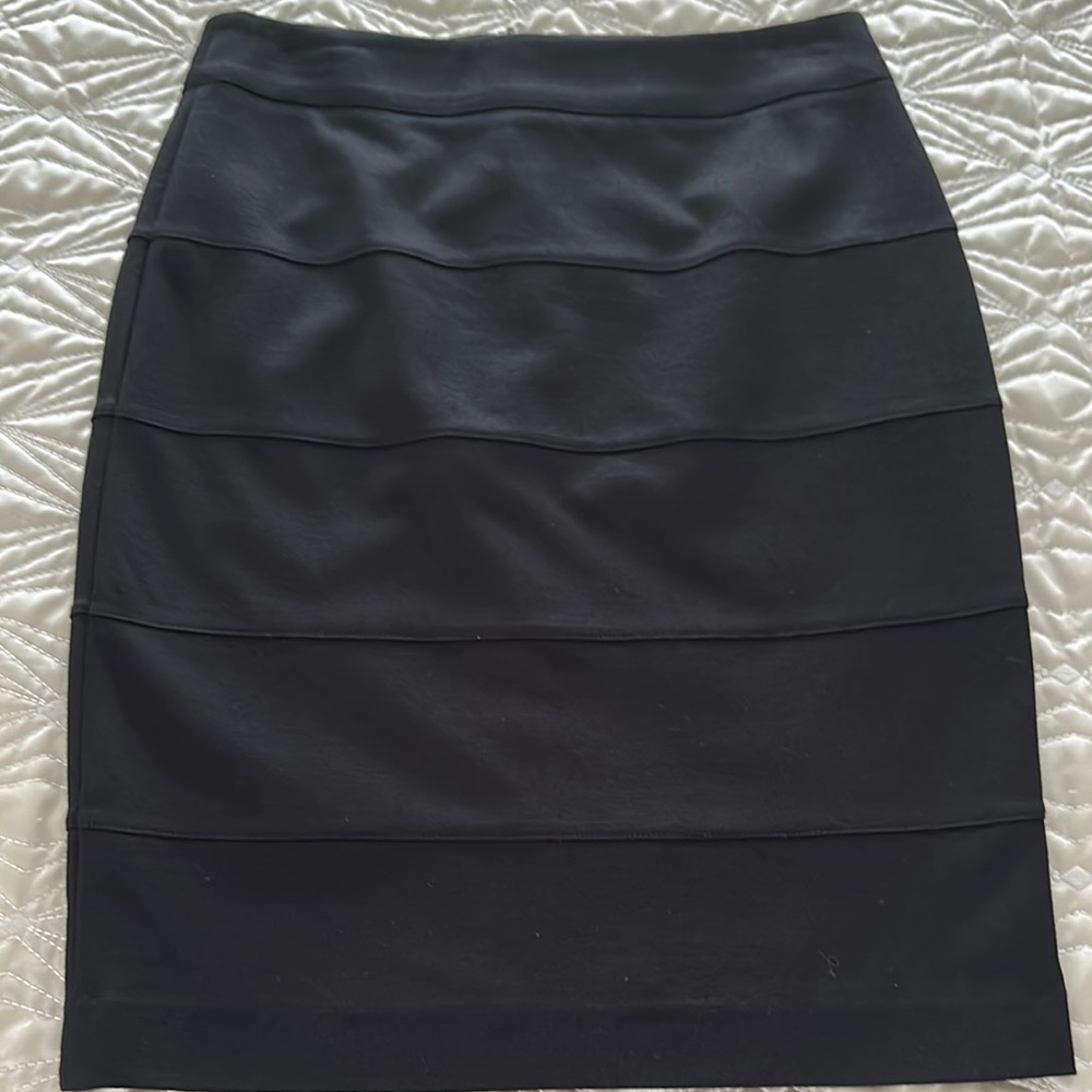 Elegant Black Women's Skirt